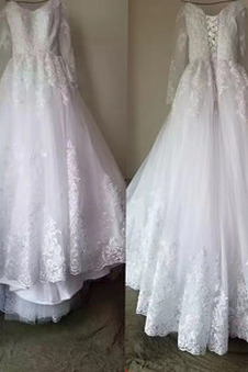 Abito da sposa Inverno Treno di spazzata Pizzo francese Applique Naturale